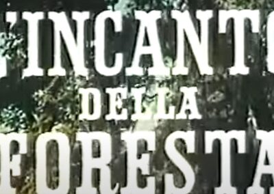 INCANTO DELLA FORESTA (L’)